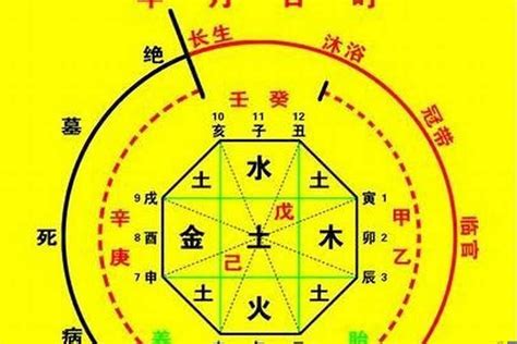 命中喜水|生辰八字算命、五行喜用神查询（免费测算）